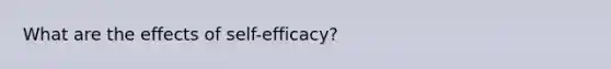 What are the effects of self-efficacy?