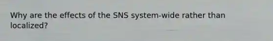 Why are the effects of the SNS system-wide rather than localized?