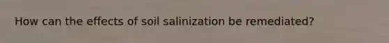 How can the effects of soil salinization be remediated?