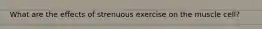 What are the effects of strenuous exercise on the muscle cell?