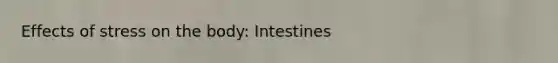 Effects of stress on the body: Intestines