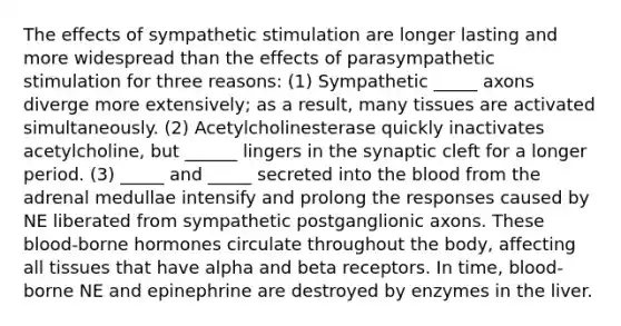 The effects of sympathetic stimulation are longer lasting and more widespread than the effects of parasympathetic stimulation for three reasons: (1) Sympathetic _____ axons diverge more extensively; as a result, many tissues are activated simultaneously. (2) Acetylcholinesterase quickly inactivates acetylcholine, but ______ lingers in the synaptic cleft for a longer period. (3) _____ and _____ secreted into the blood from the adrenal medullae intensify and prolong the responses caused by NE liberated from sympathetic postganglionic axons. These blood-borne hormones circulate throughout the body, affecting all tissues that have alpha and beta receptors. In time, blood-borne NE and epinephrine are destroyed by enzymes in the liver.