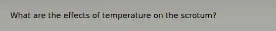 What are the effects of temperature on the scrotum?