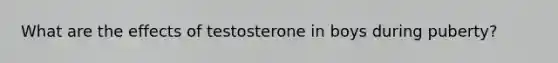 What are the effects of testosterone in boys during puberty?