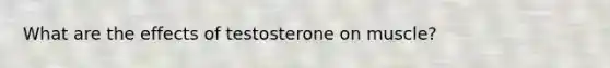 What are the effects of testosterone on muscle?