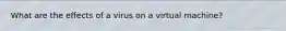 What are the effects of a virus on a virtual machine?