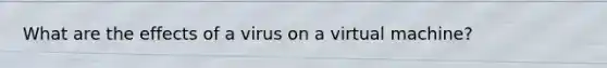 What are the effects of a virus on a virtual machine?