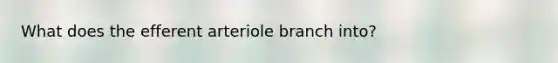 What does the efferent arteriole branch into?