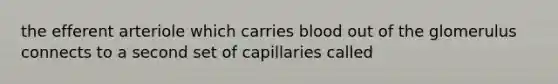 the efferent arteriole which carries blood out of the glomerulus connects to a second set of capillaries called