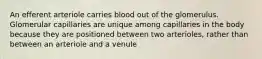 An efferent arteriole carries blood out of the glomerulus. Glomerular capillaries are unique among capillaries in the body because they are positioned between two arterioles, rather than between an arteriole and a venule