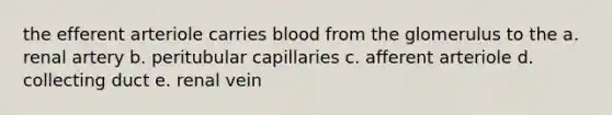 the efferent arteriole carries blood from the glomerulus to the a. renal artery b. peritubular capillaries c. afferent arteriole d. collecting duct e. renal vein