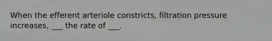 When the efferent arteriole constricts, filtration pressure increases, ___ the rate of ___.