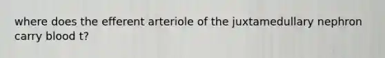 where does the efferent arteriole of the juxtamedullary nephron carry blood t?