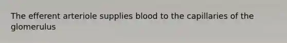 The efferent arteriole supplies blood to the capillaries of the glomerulus