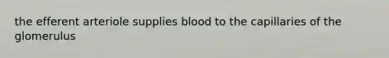 the efferent arteriole supplies blood to the capillaries of the glomerulus