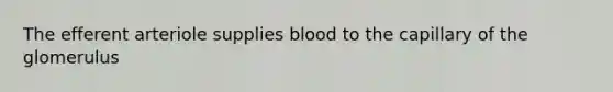 The efferent arteriole supplies blood to the capillary of the glomerulus