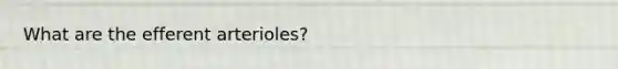 What are the efferent arterioles?