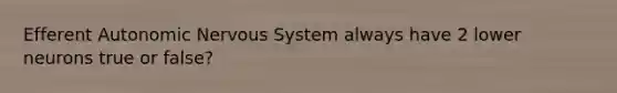 Efferent Autonomic Nervous System always have 2 lower neurons true or false?