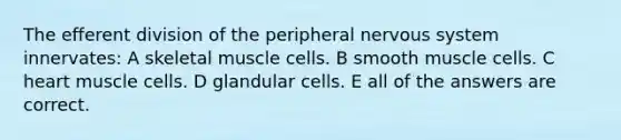 The efferent division of the peripheral nervous system innervates: A skeletal muscle cells. B smooth muscle cells. C heart muscle cells. D glandular cells. E all of the answers are correct.