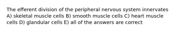 The efferent division of the peripheral nervous system innervates A) skeletal muscle cells B) smooth muscle cells C) heart muscle cells D) glandular cells E) all of the answers are correct