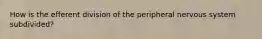 How is the efferent division of the peripheral nervous system subdivided?