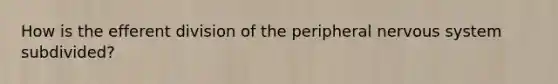 How is the efferent division of the peripheral nervous system subdivided?