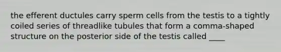 the efferent ductules carry sperm cells from the testis to a tightly coiled series of threadlike tubules that form a comma-shaped structure on the posterior side of the testis called ____