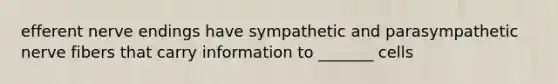 efferent nerve endings have sympathetic and parasympathetic nerve fibers that carry information to _______ cells