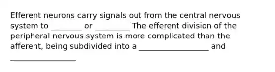 Efferent neurons carry signals out from the central <a href='https://www.questionai.com/knowledge/kThdVqrsqy-nervous-system' class='anchor-knowledge'>nervous system</a> to ________ or _________ The efferent division of the peripheral nervous system is more complicated than the afferent, being subdivided into a __________________ and _________________