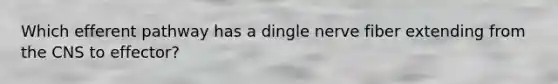 Which efferent pathway has a dingle nerve fiber extending from the CNS to effector?
