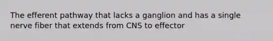 The efferent pathway that lacks a ganglion and has a single nerve fiber that extends from CNS to effector
