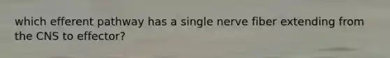 which efferent pathway has a single nerve fiber extending from the CNS to effector?