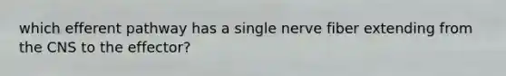 which efferent pathway has a single nerve fiber extending from the CNS to the effector?
