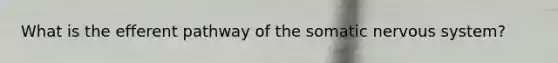 What is the efferent pathway of the somatic nervous system?