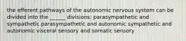 the efferent pathways of the autonomic nervous system can be divided into the ______ divisions: parasympathetic and sympathetic parasympathetic and autonomic sympathetic and autonomic visceral sensory and somatic sensory