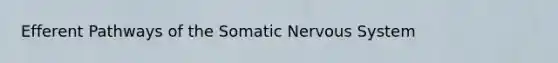 Efferent Pathways of the Somatic Nervous System