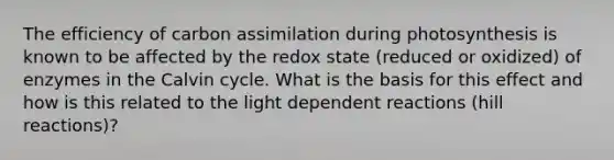 The efficiency of carbon assimilation during photosynthesis is known to be affected by the redox state (reduced or oxidized) of enzymes in the Calvin cycle. What is the basis for this effect and how is this related to the light dependent reactions (hill reactions)?