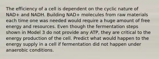 The efficiency of a cell is dependent on the cyclic nature of NAD+ and NADH. Building NAD+ molecules from raw materials each time one was needed would require a huge amount of free energy and resources. Even though the fermentation steps shown in Model 3 do not provide any ATP, they are critical to the <a href='https://www.questionai.com/knowledge/k3xoUYcii1-energy-production' class='anchor-knowledge'>energy production</a> of the cell. Predict what would happen to the energy supply in a cell if fermentation did not happen under anaerobic conditions.