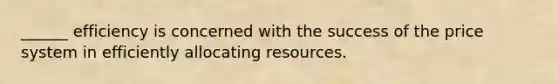 ______ efficiency is concerned with the success of the price system in efficiently allocating resources.