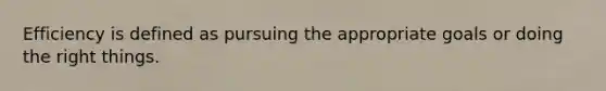 Efficiency is defined as pursuing the appropriate goals or doing the right things.