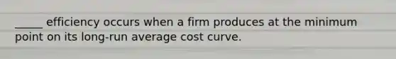 _____ efficiency occurs when a firm produces at the minimum point on its long-run average cost curve.