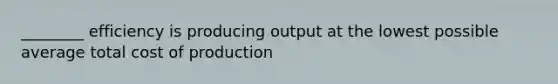 ________ efficiency is producing output at the lowest possible average total cost of production