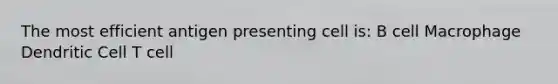 The most efficient antigen presenting cell is: B cell Macrophage Dendritic Cell T cell
