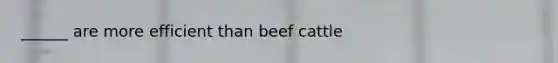 ______ are more efficient than beef cattle