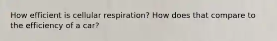 How efficient is <a href='https://www.questionai.com/knowledge/k1IqNYBAJw-cellular-respiration' class='anchor-knowledge'>cellular respiration</a>? How does that compare to the efficiency of a car?