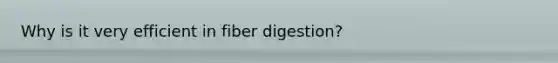 Why is it very efficient in fiber digestion?