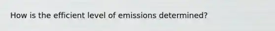 How is the efficient level of emissions determined?