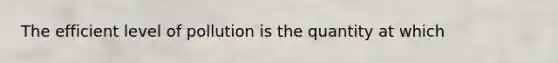 The efficient level of pollution is the quantity at which