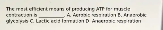 The most efficient means of producing ATP for <a href='https://www.questionai.com/knowledge/k0LBwLeEer-muscle-contraction' class='anchor-knowledge'>muscle contraction</a> is ___________. A. Aerobic respiration B. Anaerobic glycolysis C. Lactic acid formation D. Anaerobic respiration