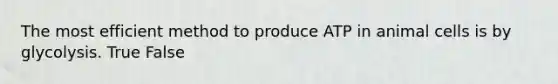 The most efficient method to produce ATP in animal cells is by glycolysis. True False